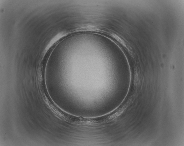 X0000084581458200703021516