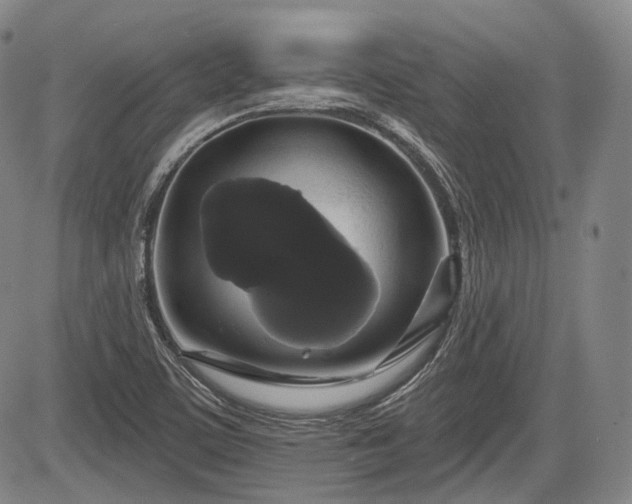 X0000084581459200703021516