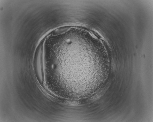 X0000084581460200703021516