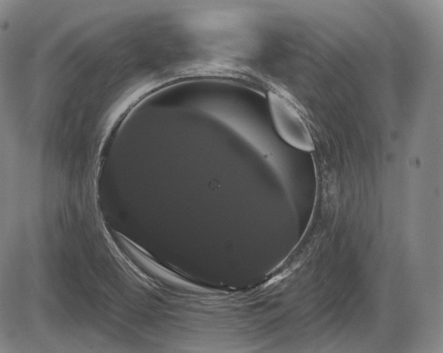 X0000084581463200703021516