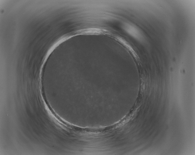 X0000084581475200703021516