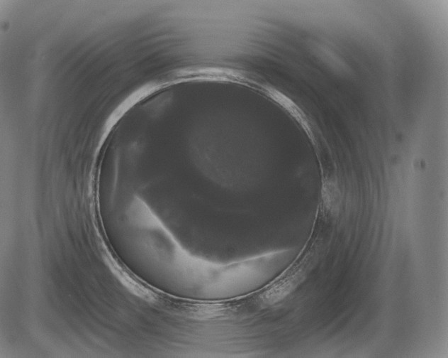 X0000084581482200703021516