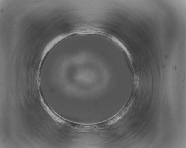 X0000084581485200703021516
