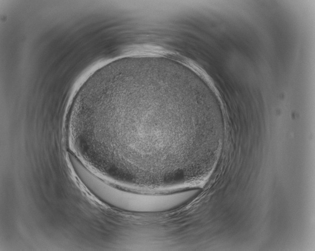 X0000084581488200703021516