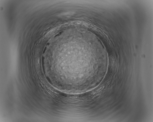 X0000084581489200703021515