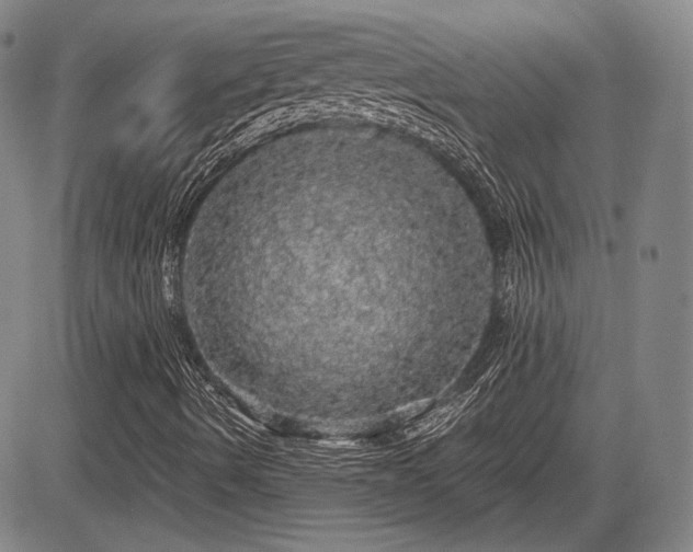 X0000084581490200703021515
