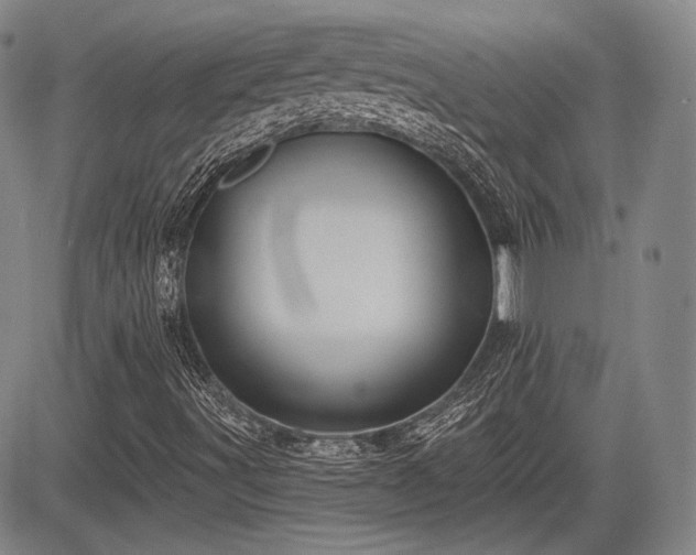 X0000084581491200703021515