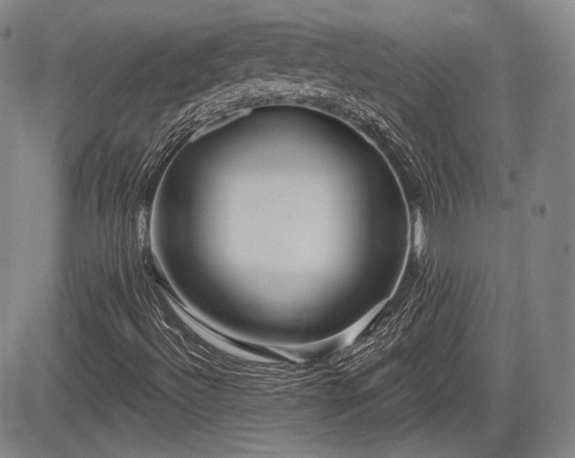 X0000084581492200703021515