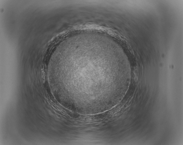 X0000084581493200703021515