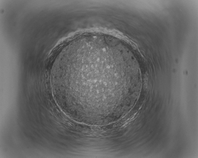 X0000084581494200703021515
