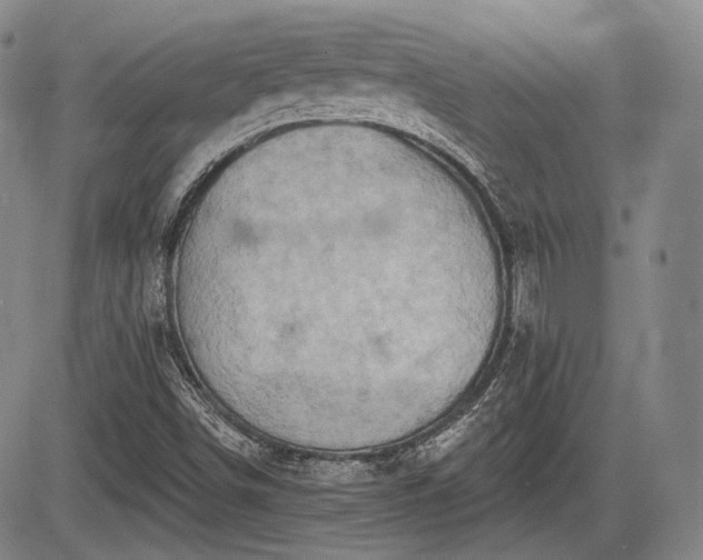 X0000084581498200703021515