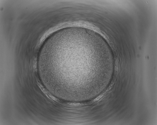 X0000084581499200703021515