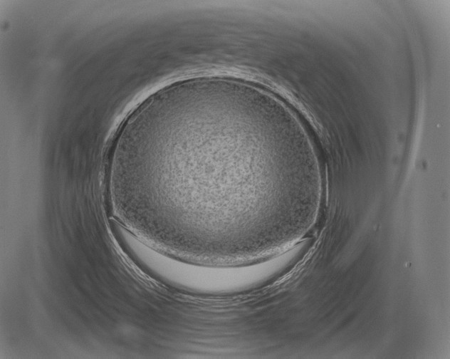 X0000084581500200703021515