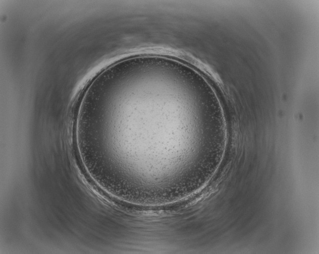 X0000084581504200703021515