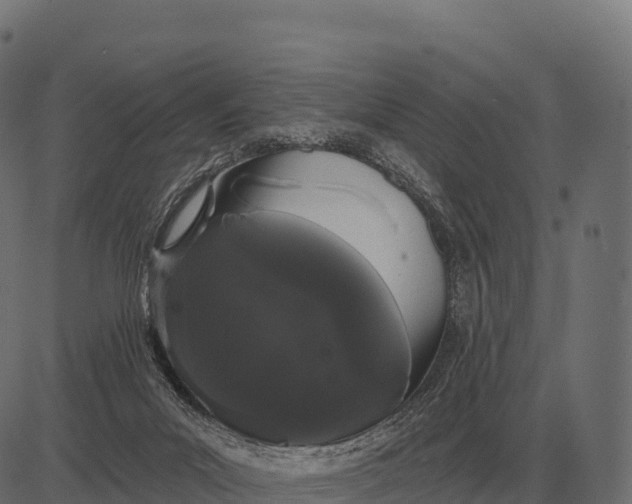 X0000084580023200703091848