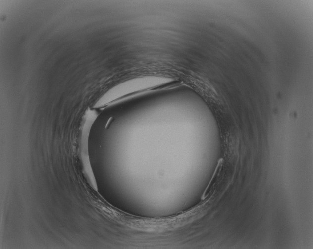 X0000084580033200703091848