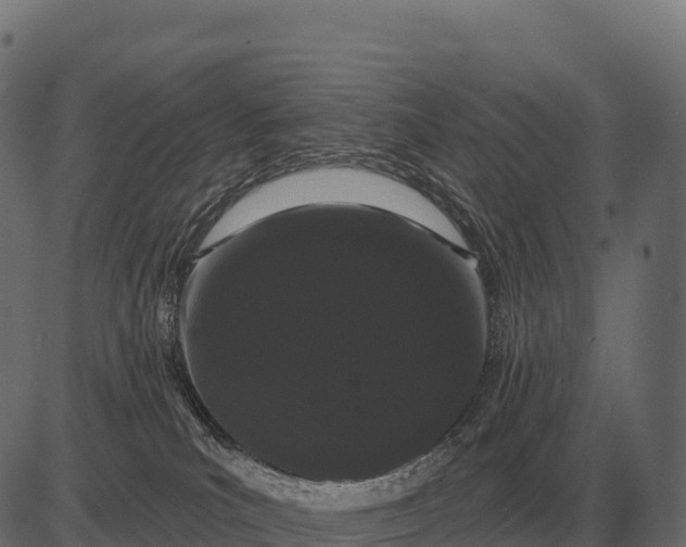 X0000084580039200703091848