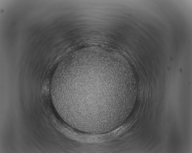 X0000084580040200703091848