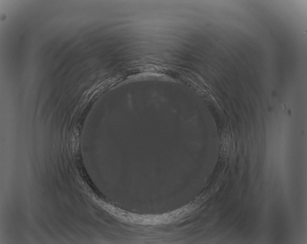 X0000084580043200703091848