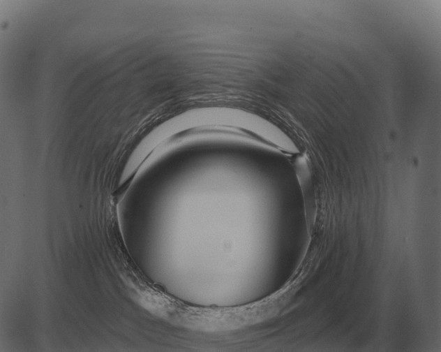 X0000084580045200703091848