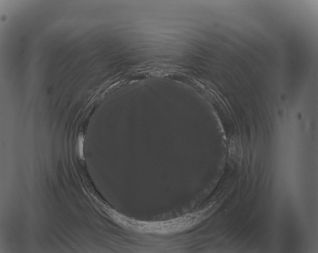 X0000084580046200703091848