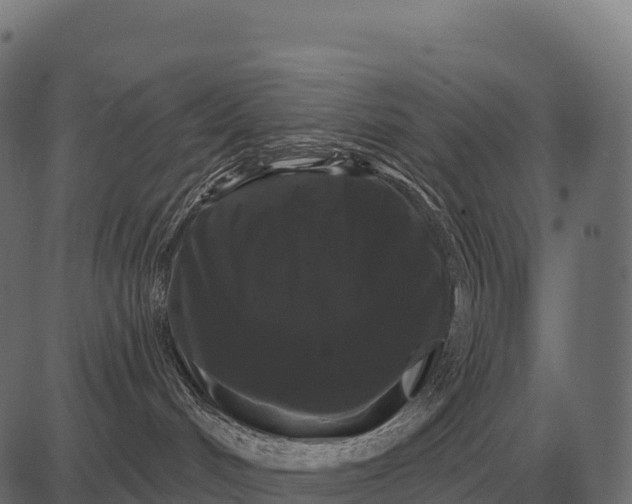 X0000084580048200703091848
