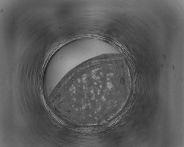 X0000084580049200703091847