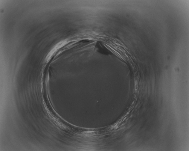 X0000084580054200703091847