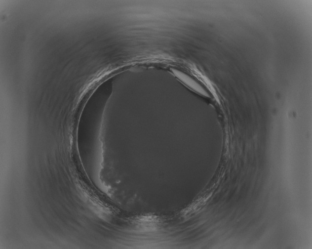 X0000084580059200703091847