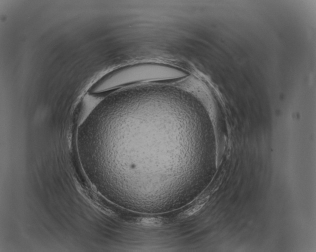 X0000084580060200703091847