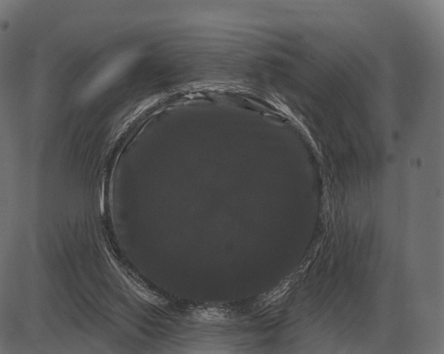 X0000084580062200703091847