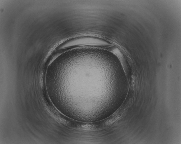 X0000084580064200703091847