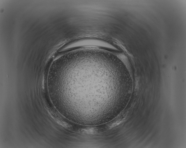 X0000084580068200703091847