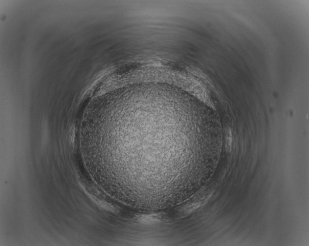 X0000084580072200703091847