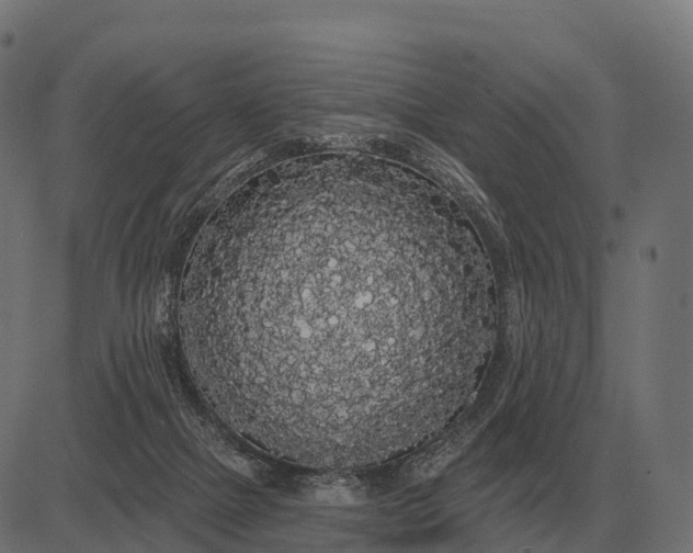 X0000084580073200703091847