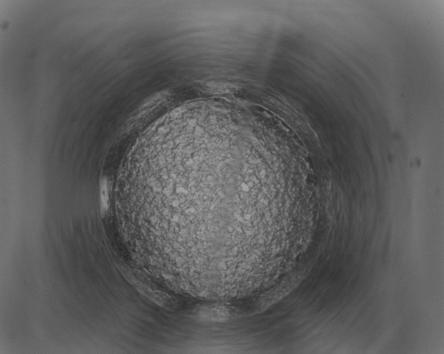 X0000084580075200703091847