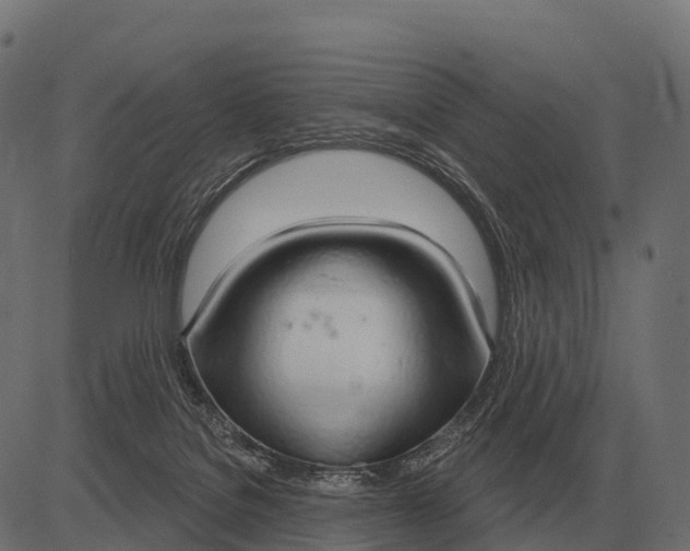 X0000084580076200703091848