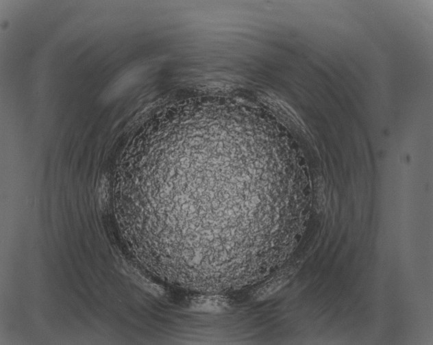 X0000084580077200703091848