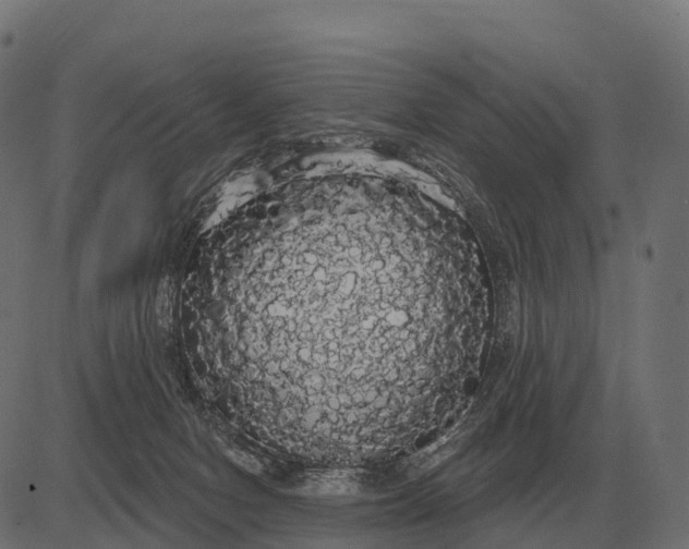 X0000084580078200703091848