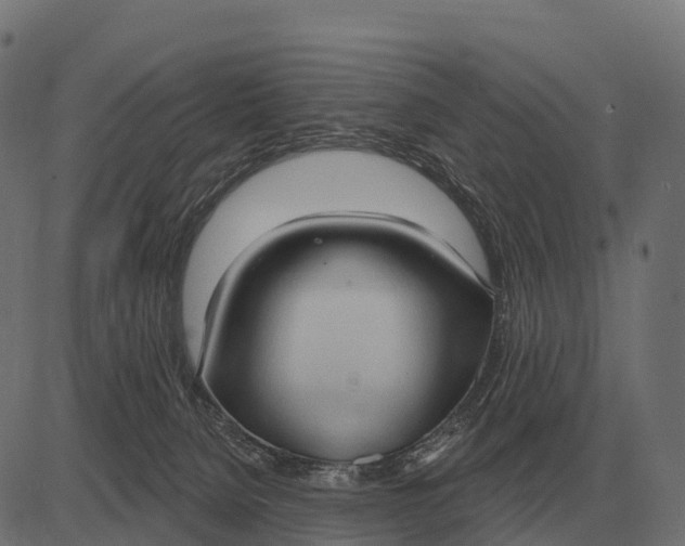 X0000084580080200703091848