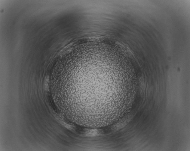 X0000084580083200703091848