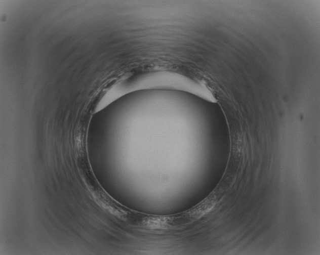 X0000084580084200703091848