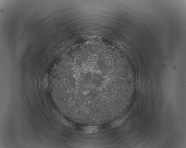 X0000084580085200703091848