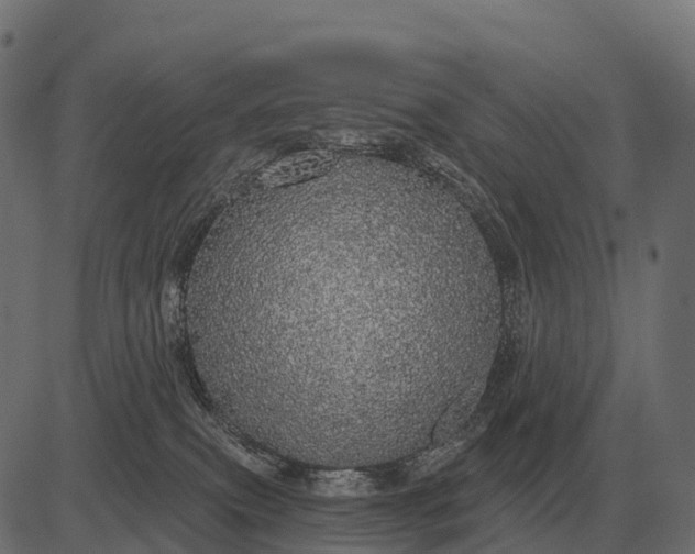 X0000084580087200703091848