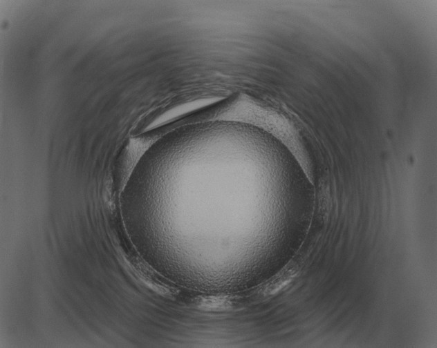 X0000084580088200703091848