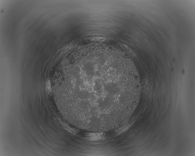 X0000084580089200703091848