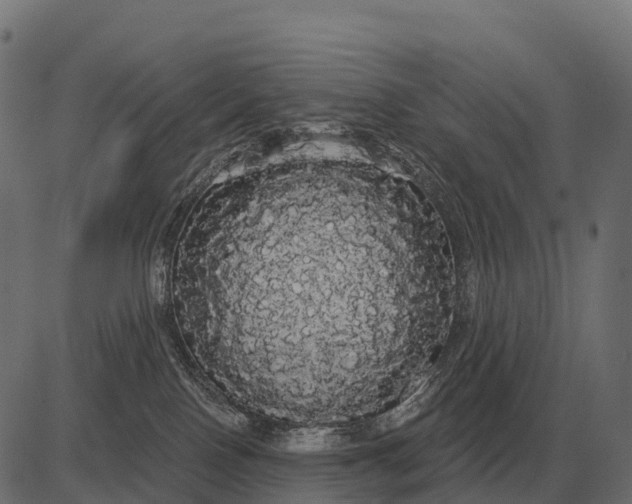 X0000084580090200703091848
