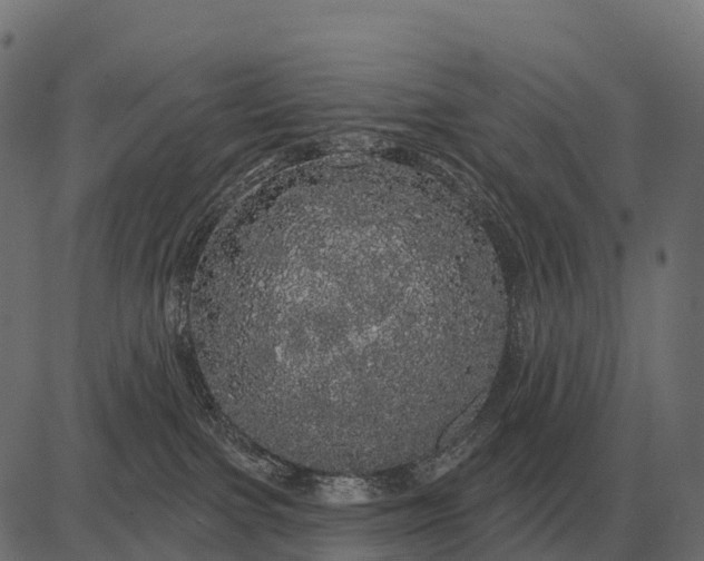 X0000084580091200703091848