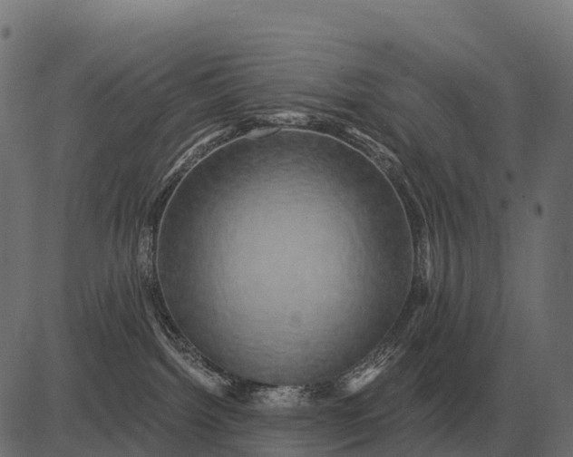 X0000084580092200703091848