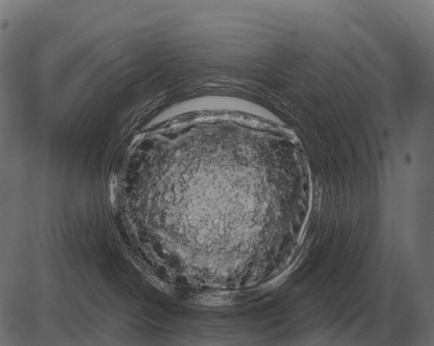 X0000084580094200703091848